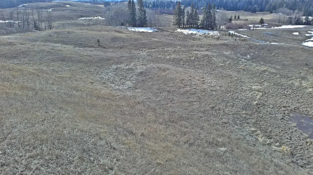 Lot 8 Rr20 Rimbey AB T0C 2J0