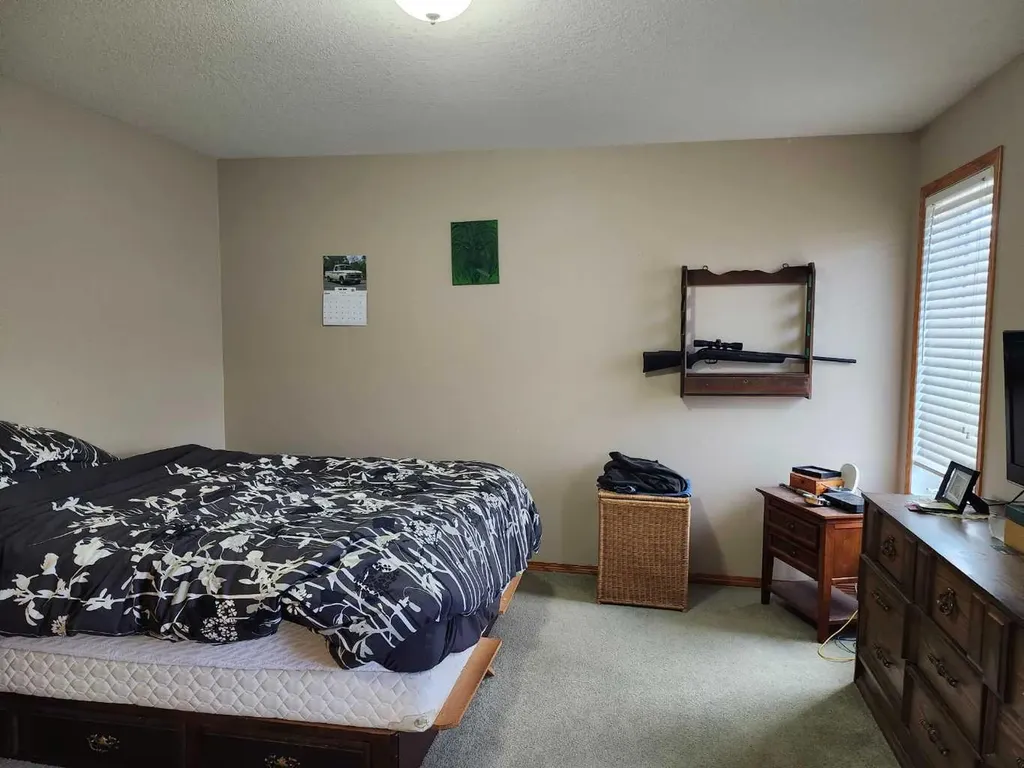 242 Mcnab Close Drumheller AB T0J0Y0