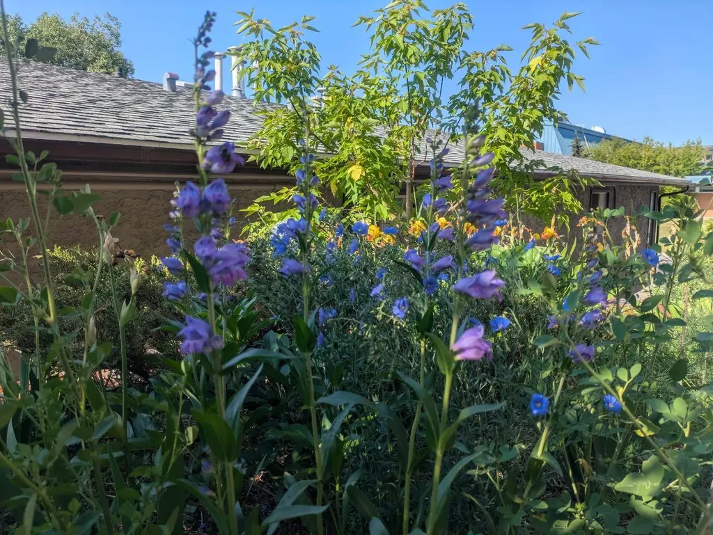 2909 17 Avenue SW Calgary AB T3E 0B1