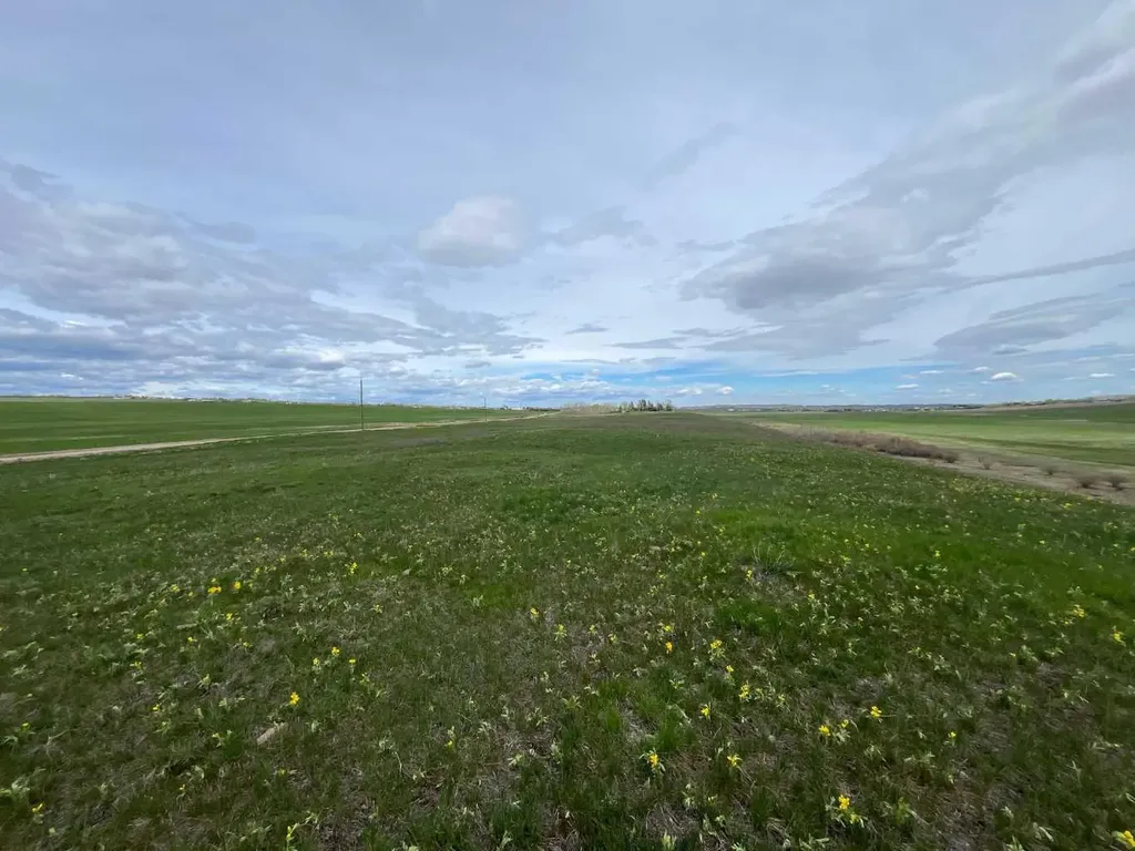 4;29;20;7;SE 36 Acres Rural Foothills County AB T1S 1A8