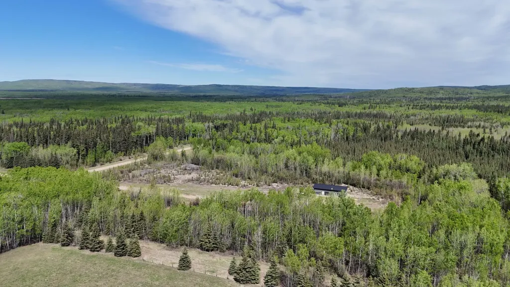 872083 Rge Road 54 Rural Clear Hills County AB T0H 3W0