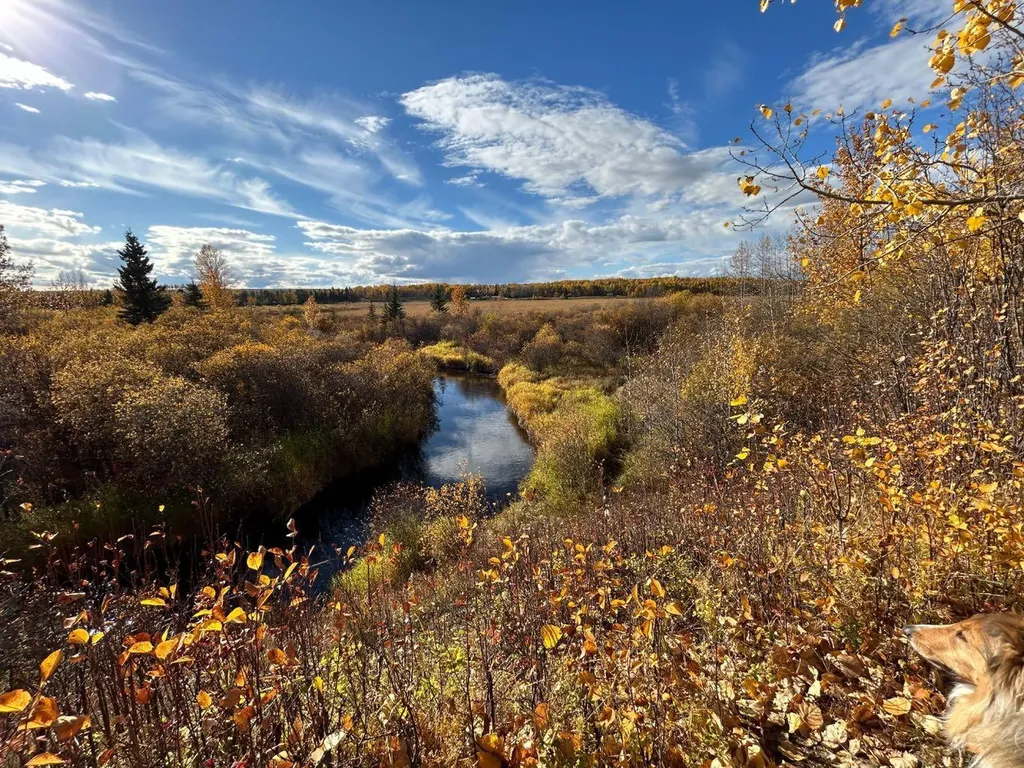 53021A 37-2 Township Road Rural Clearwater County AB T0M 0M0
