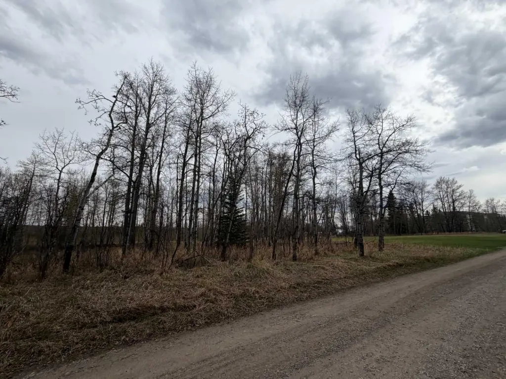 209 2 Street NE Sundre AB T0M 1X0