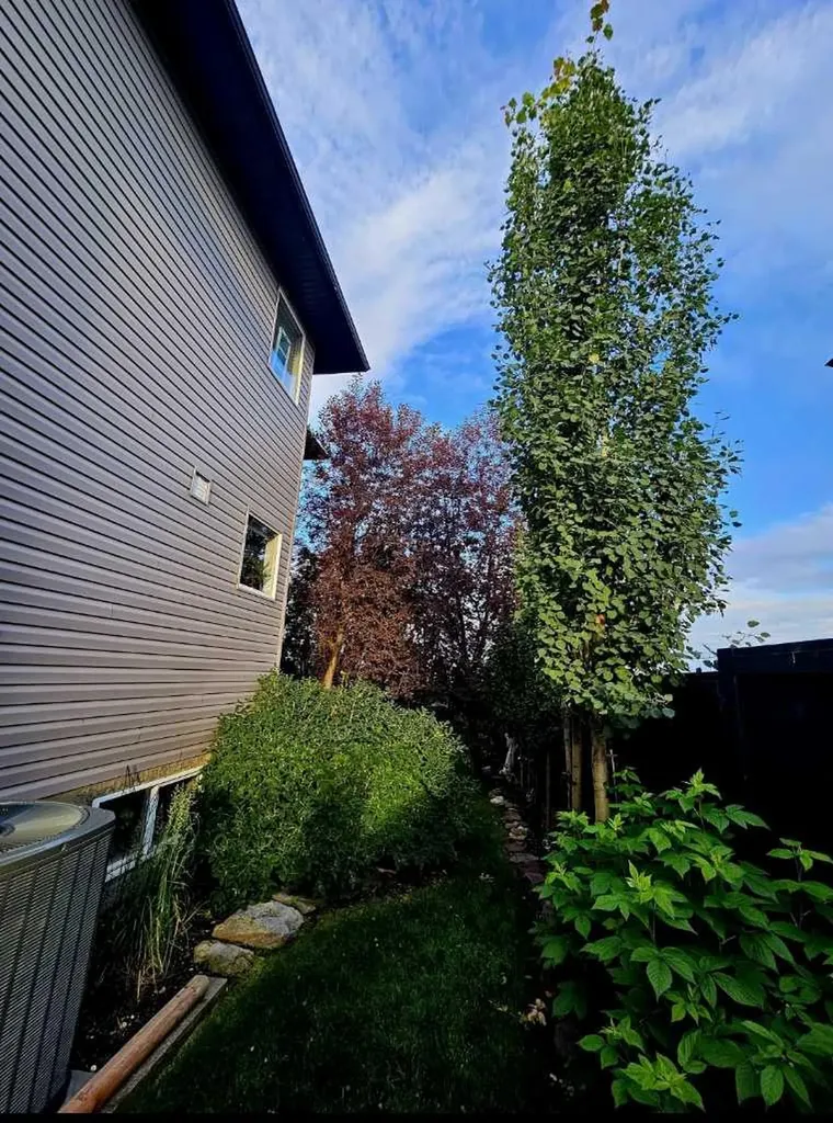460 Sunset Link Crossfield AB T0M 0S0