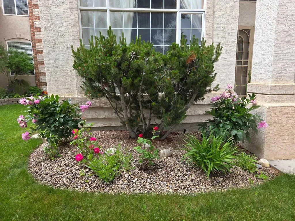 123 Schiller Crescent NW Calgary AB T3L 1W9