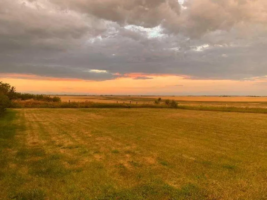 245001 Range Road 280 Rural Rocky View County AB T1z 0X1