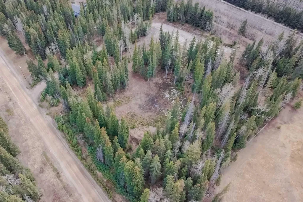 129 Moberly Drive Hinton AB T7V1Z1