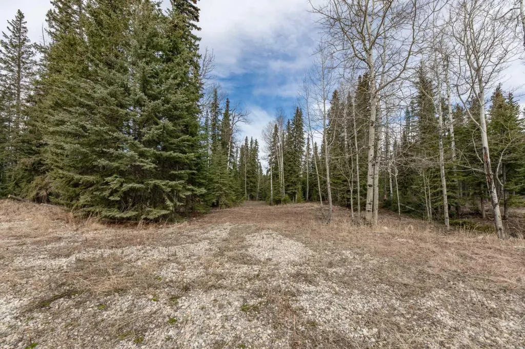 129 Moberly Drive Hinton AB T7V1Z1