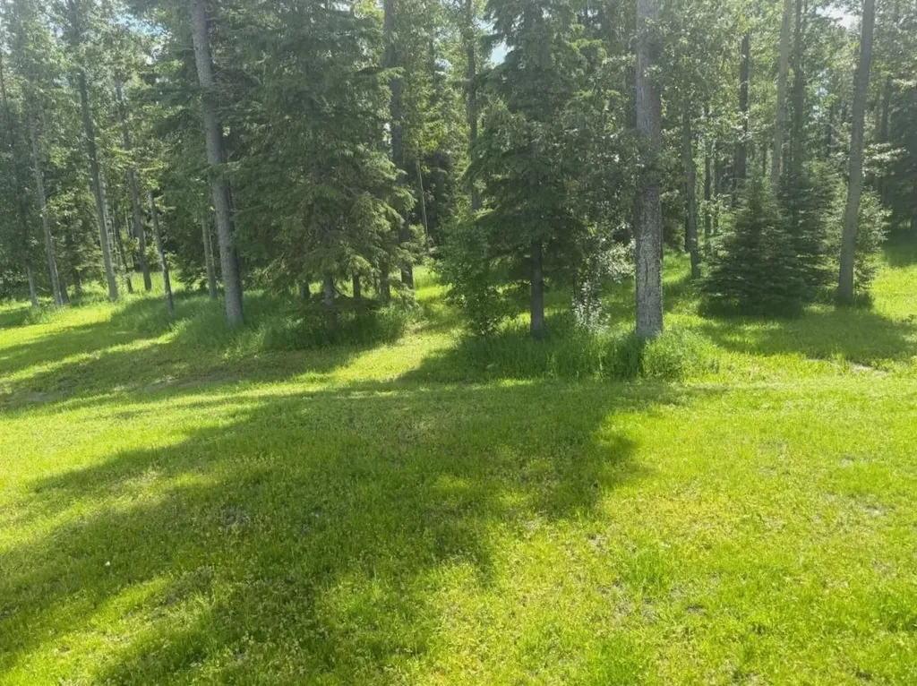 28-590059 Range Road 110 Rural Woodlands County AB T7S1W2
