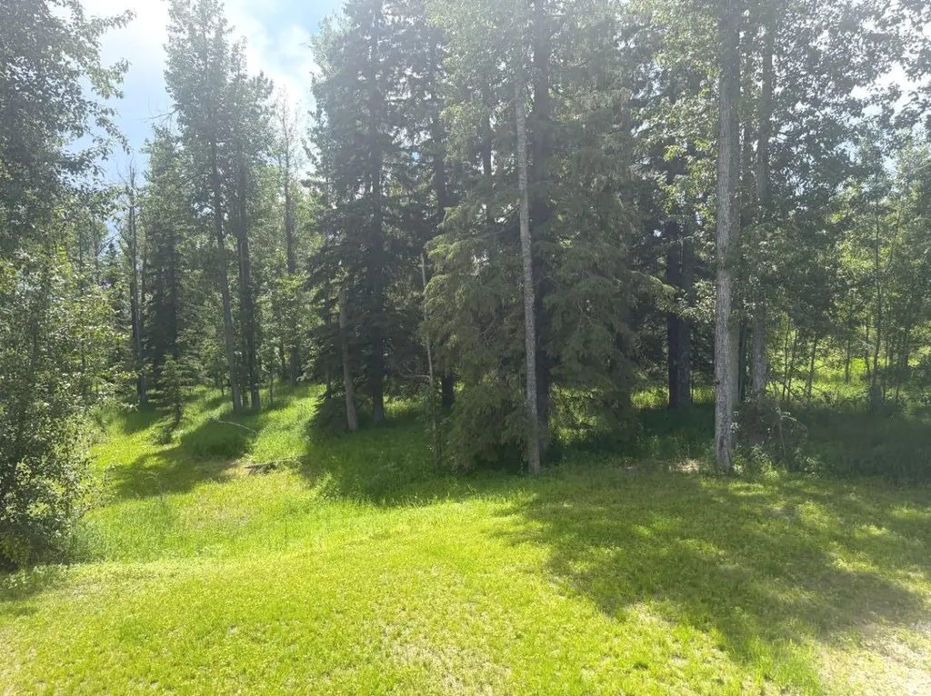 28-590059 Range Road 110 Rural Woodlands County AB T7S1W2