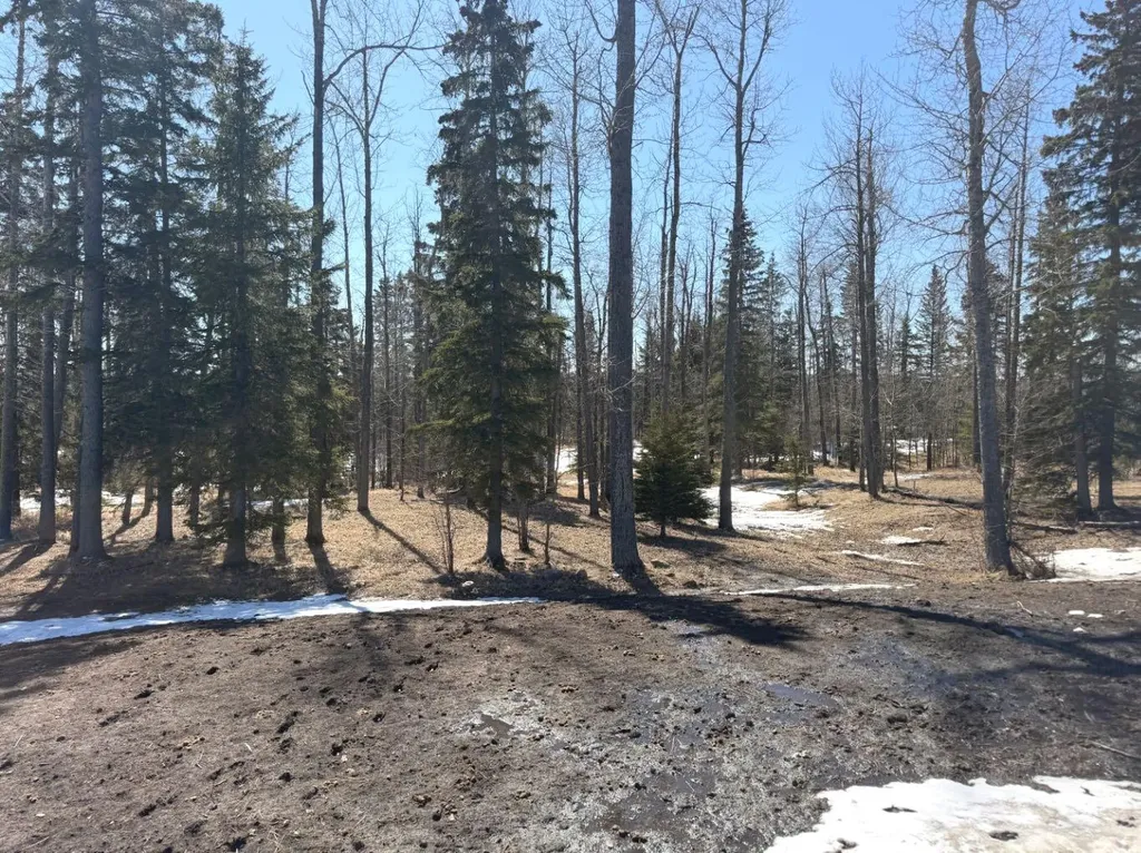 28-590059 Range Road 110 Rural Woodlands County AB T7S1W2