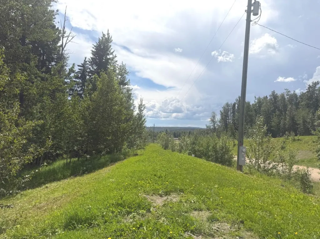 28-590059 Range Road 110 Rural Woodlands County AB T7S1W2