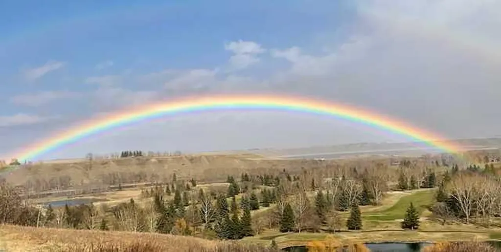 226101 88 Street E Rural Foothills County AB T1S 3Y2