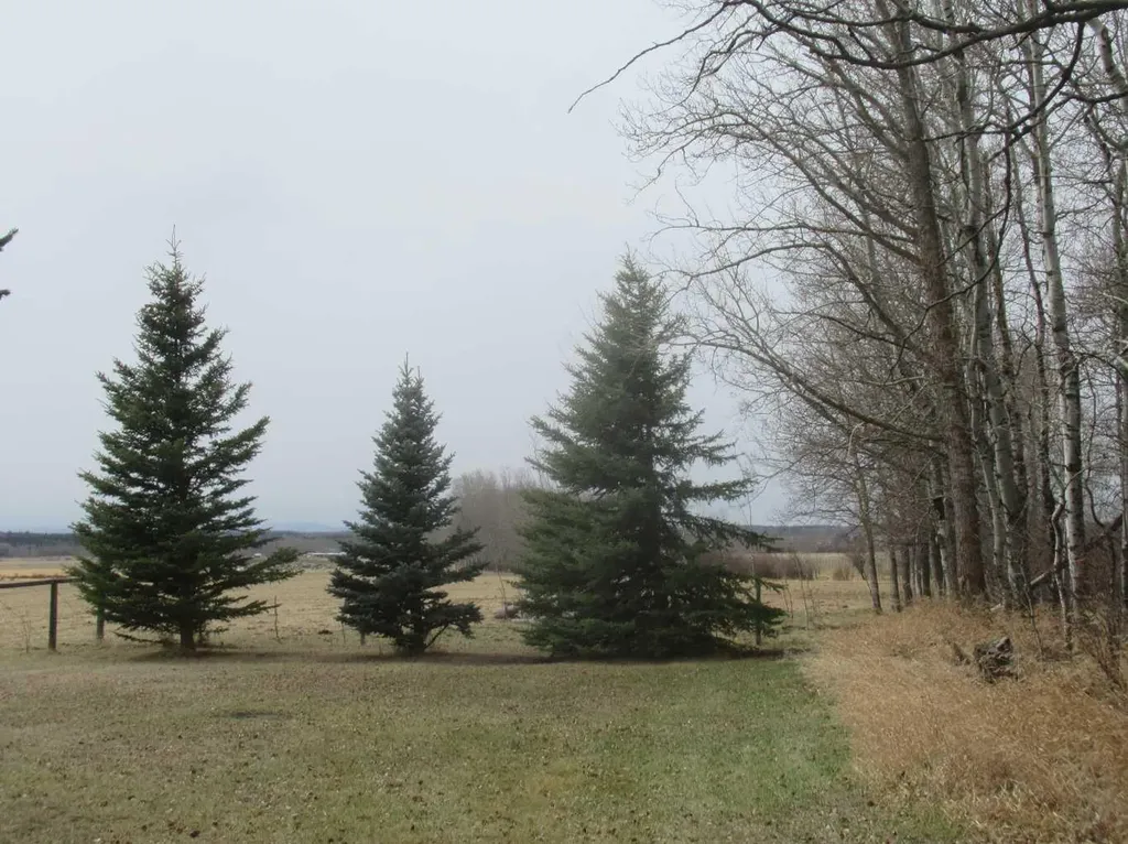 385060 Range Road 5-4 Rural Clearwater County AB T0M 0C0