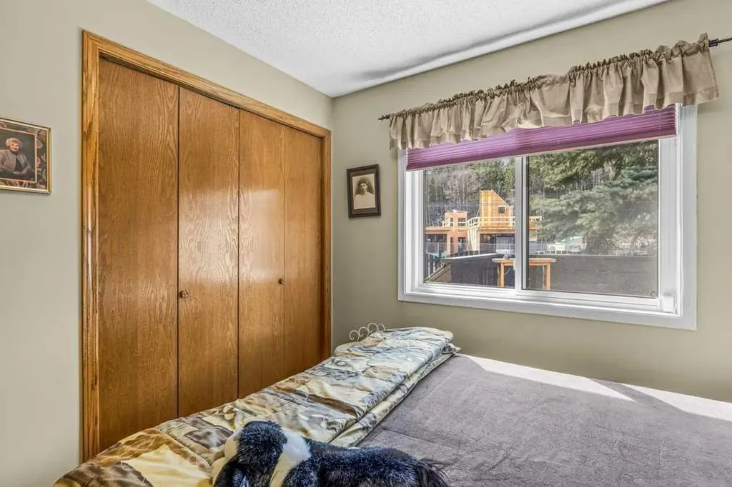 216 Three Sisters Drive Canmore AB T1W 2M2