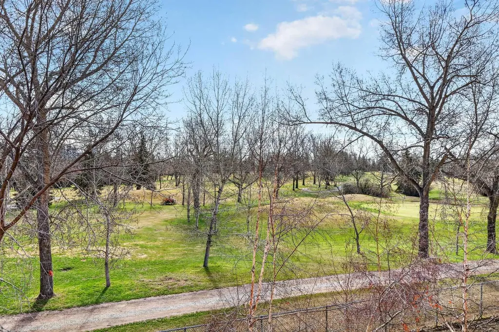 14 Hemlock Crescent SW Calgary AB T3C 2Z1