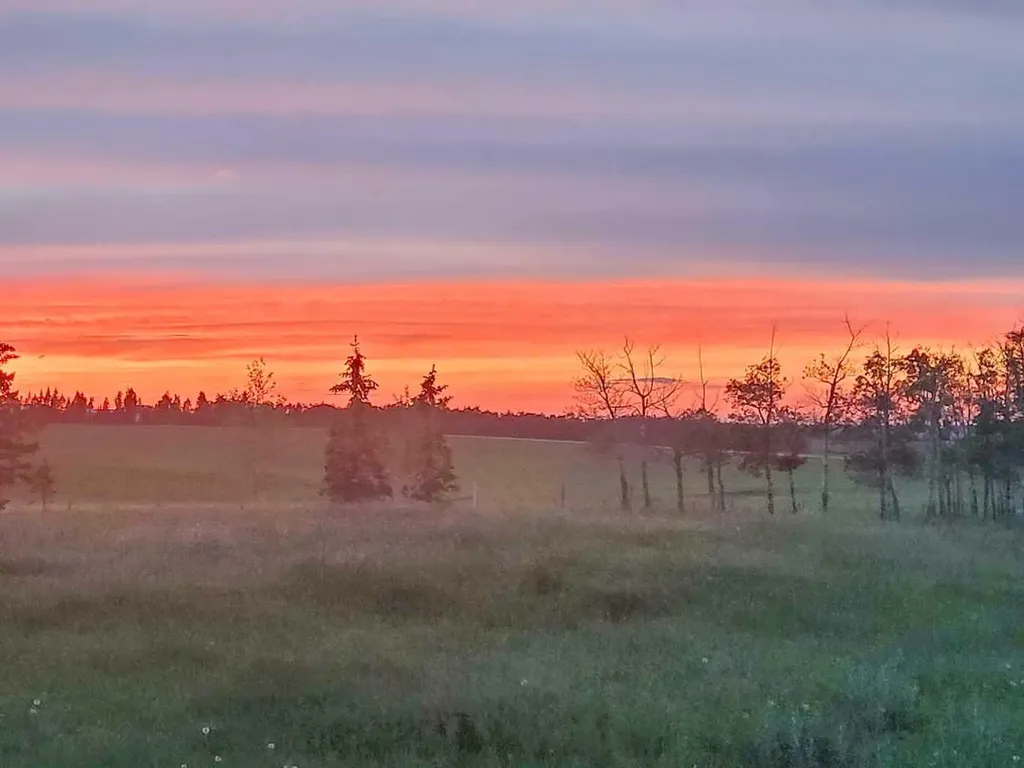 40321 Range Road 251 Rural Lacombe County AB T0C 0Y0