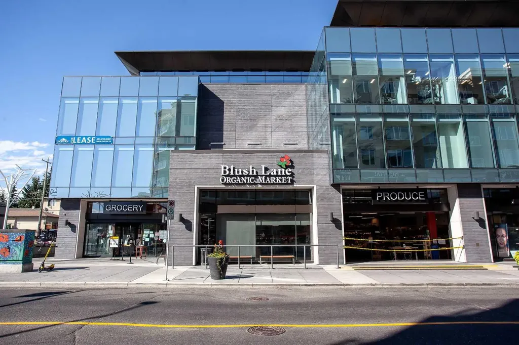 2127 34 Avenue SW Calgary AB T3H 2M1