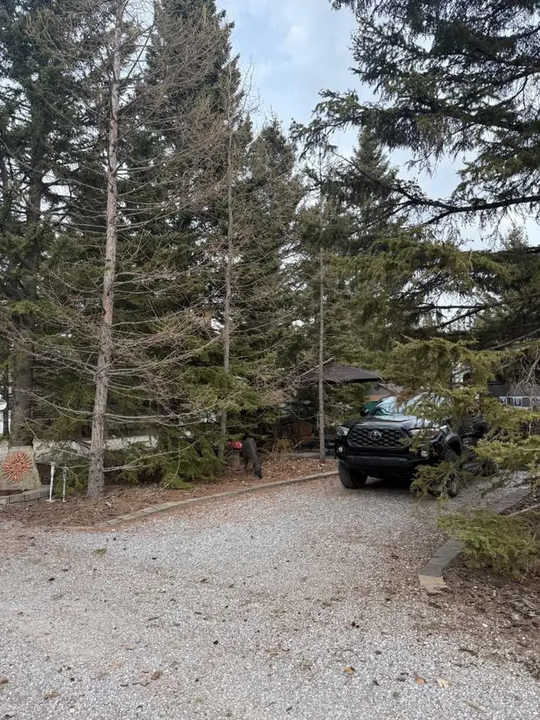 5230 27 Highway Rural Mountain View County AB T0M1X0