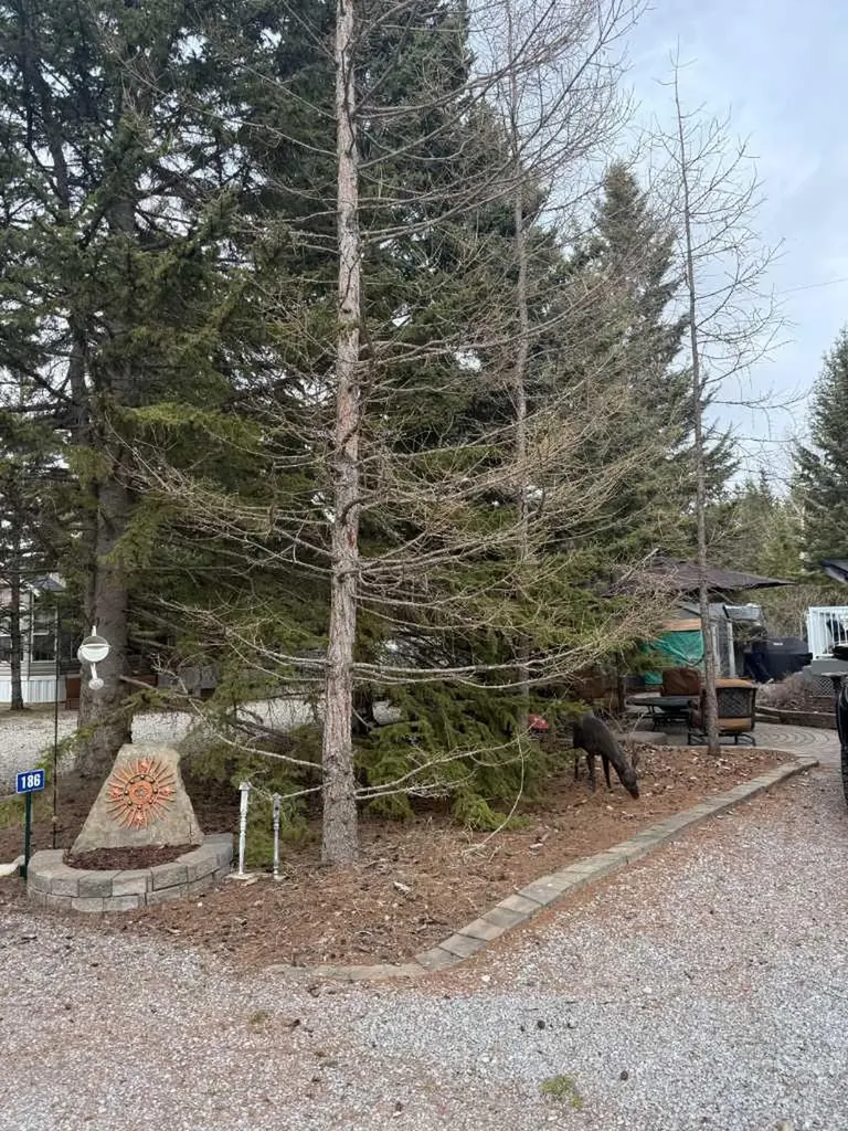 5230 27 Highway Rural Mountain View County AB T0M1X0