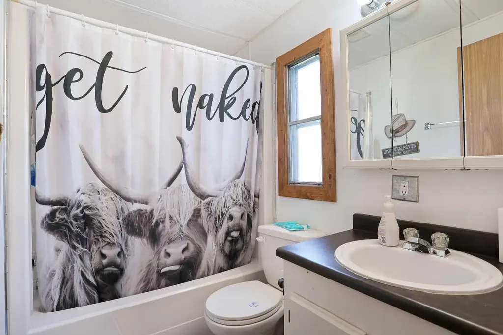 7 Prins Trailer Park Rural Newell County Of AB T1R 1B8