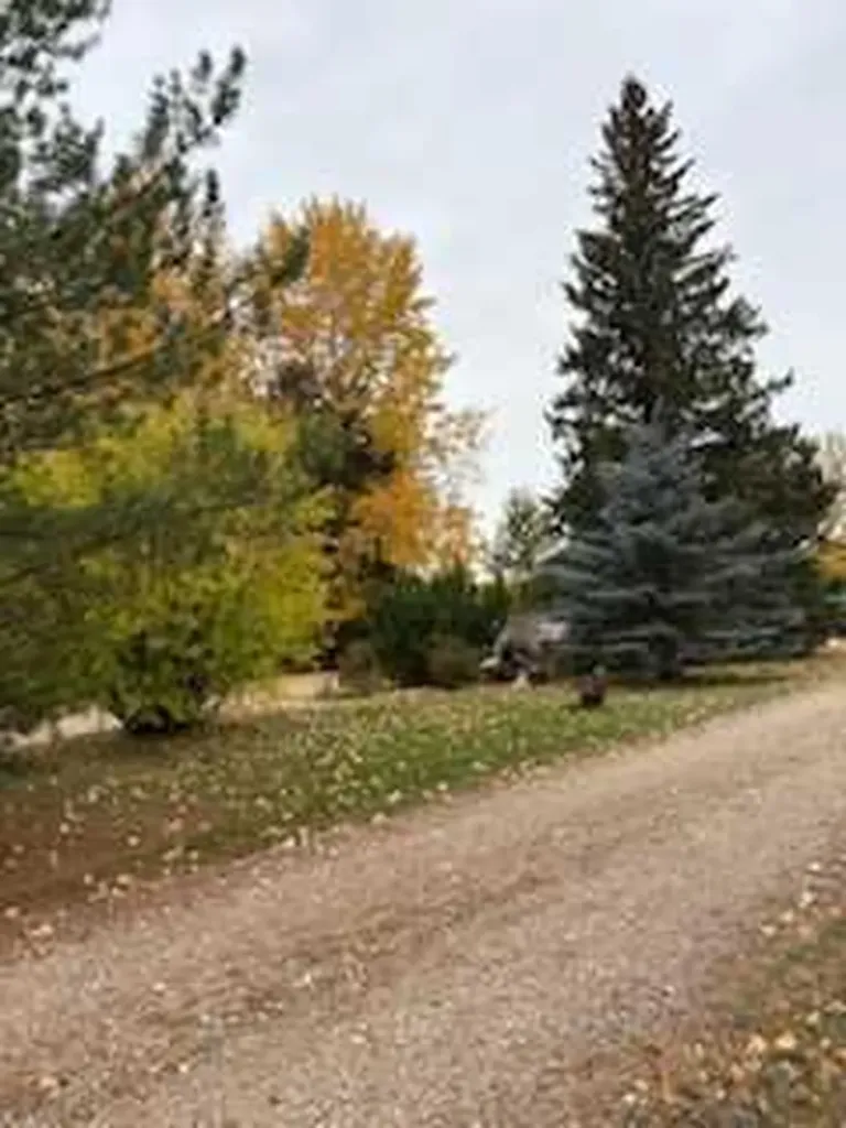 17423 Highway 2 High Prairie AB T0G 1E0