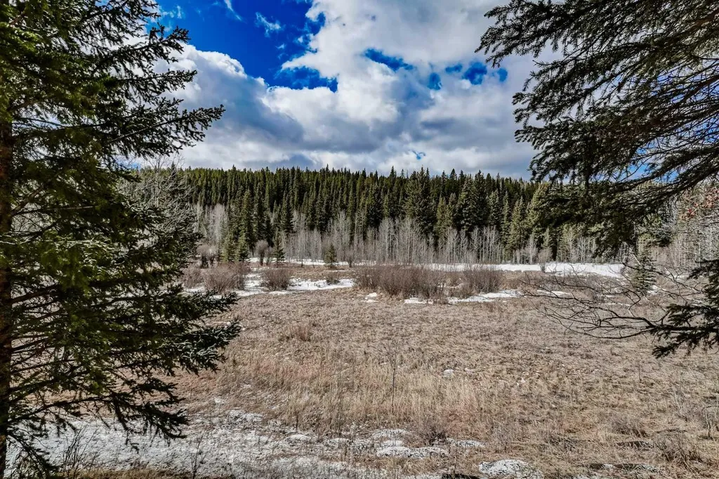 52120 Township Road 283 Rural Rocky View County AB T0L 0W0