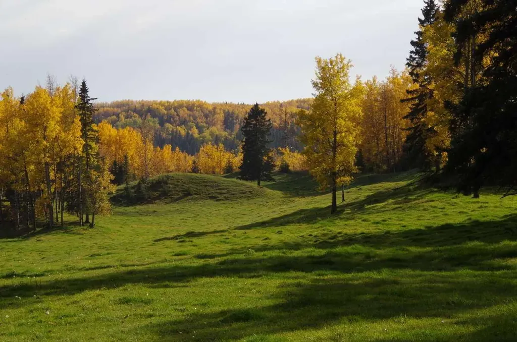 62076 James River Road Rural Clearwater County AB T0M 1X0