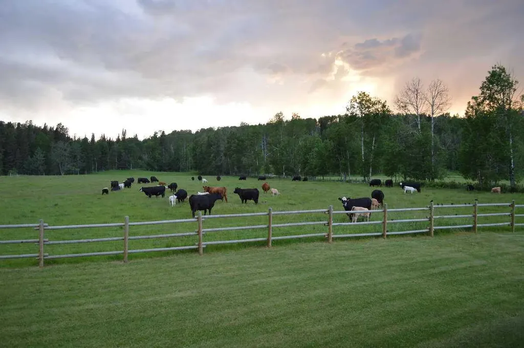 62076 James River Road Rural Clearwater County AB T0M 1X0