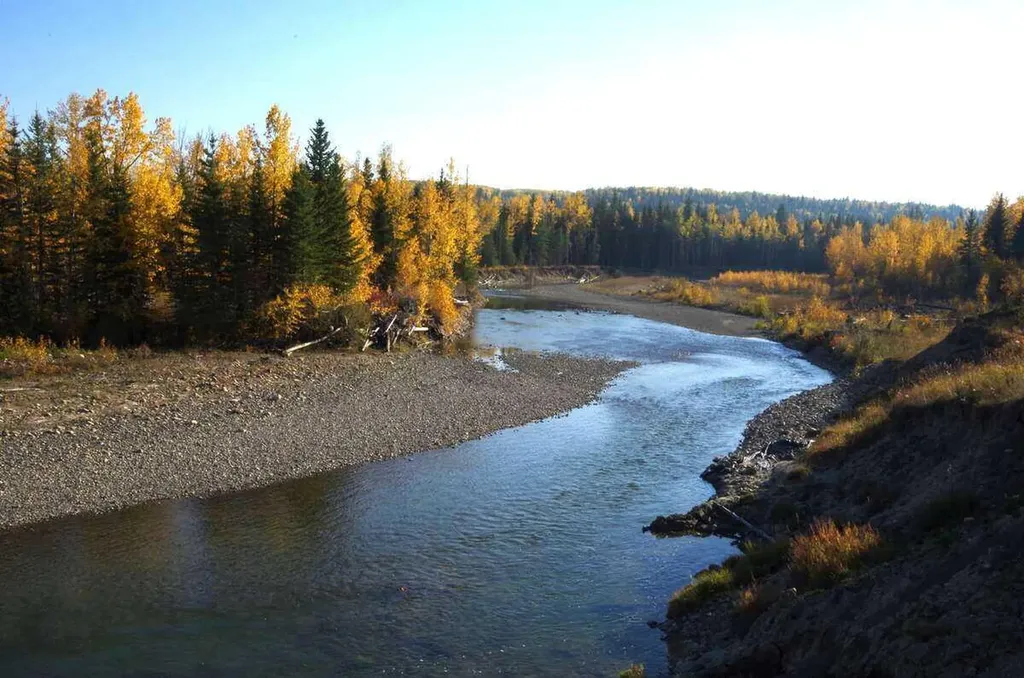 62076 James River Road Rural Clearwater County AB T0M 1X0