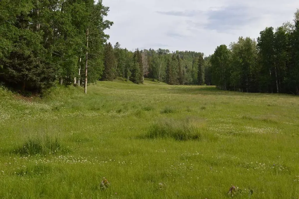 62076 James River Road Rural Clearwater County AB T0M 1X0