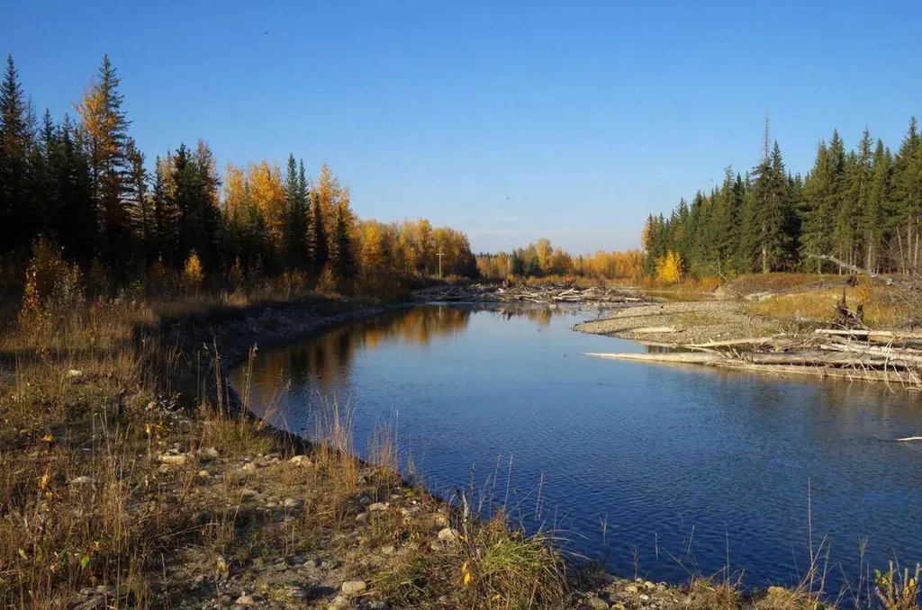 62076 James River Road Rural Clearwater County AB T0M 1X0