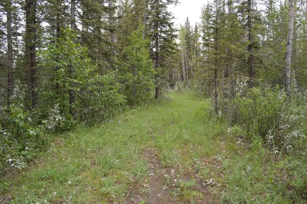 62076 James River Road Rural Clearwater County AB T0M 1X0