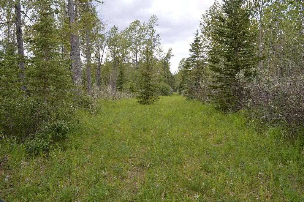 62076 James River Road Rural Clearwater County AB T0M 1X0