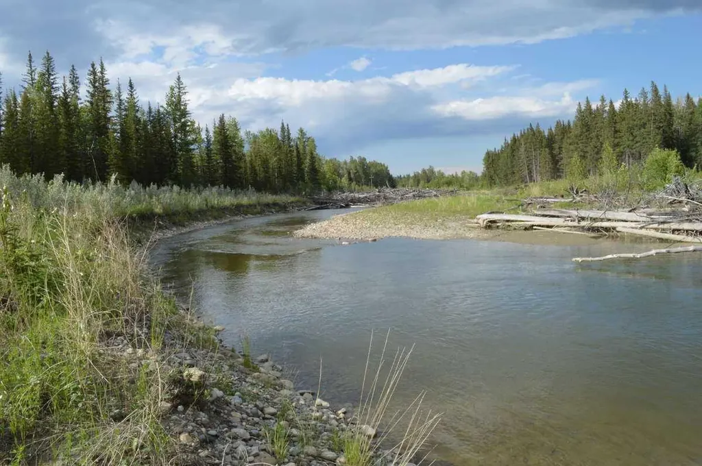 62076 James River Road Rural Clearwater County AB T0M 1X0