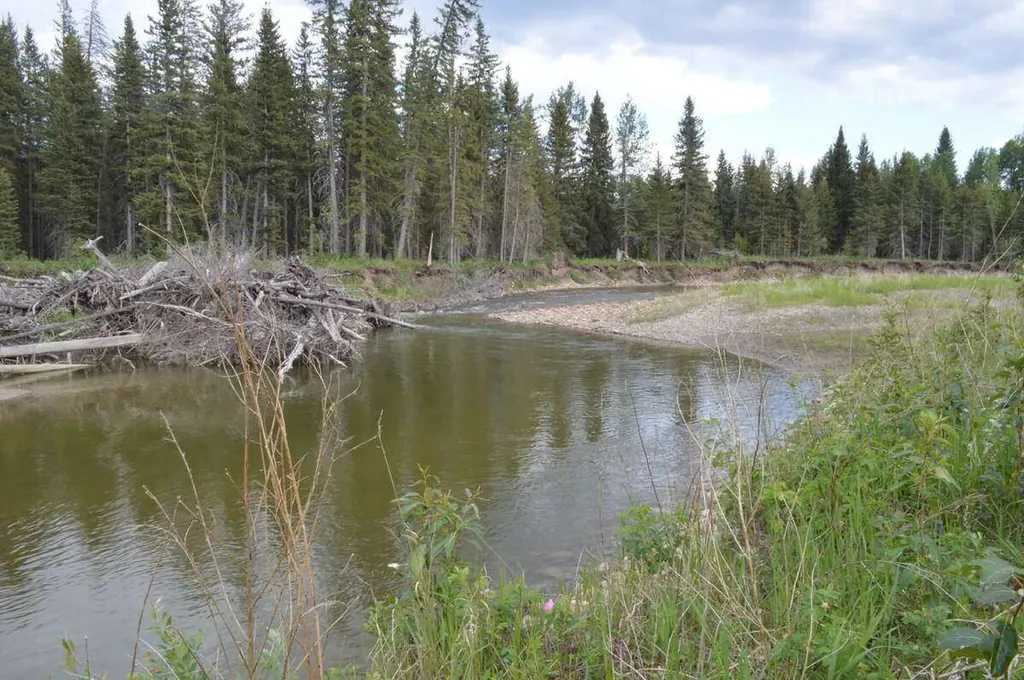 62076 James River Road Rural Clearwater County AB T0M 1X0