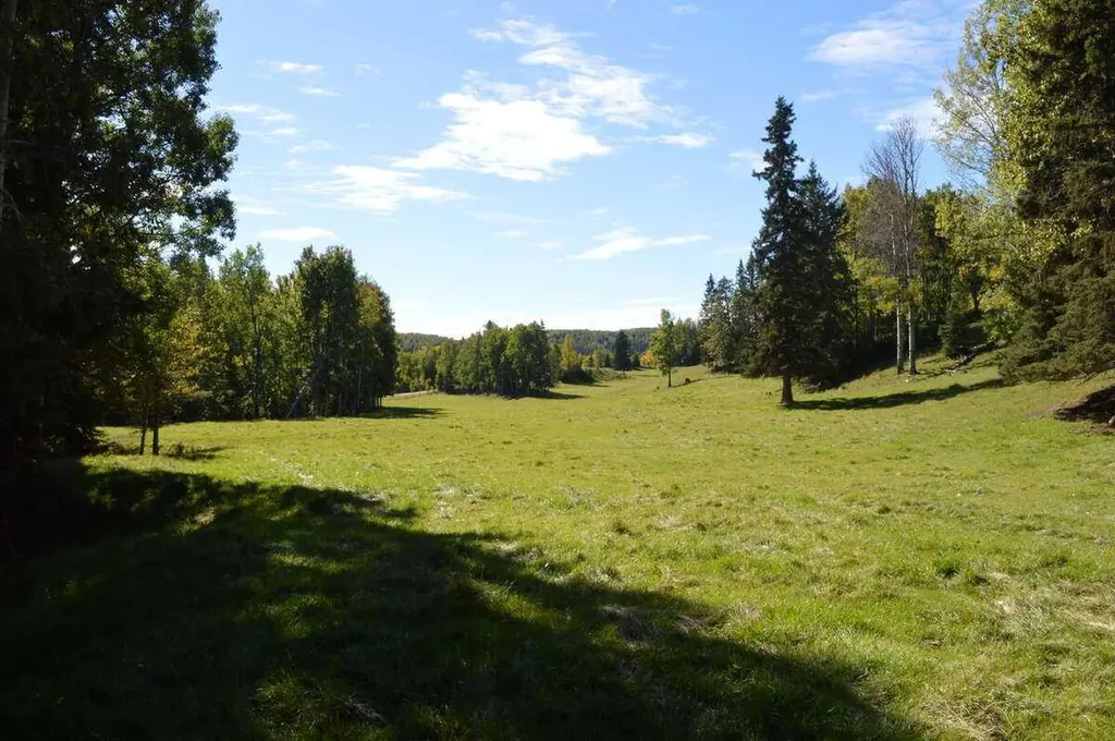 62076 James River Road Rural Clearwater County AB T0M 1X0