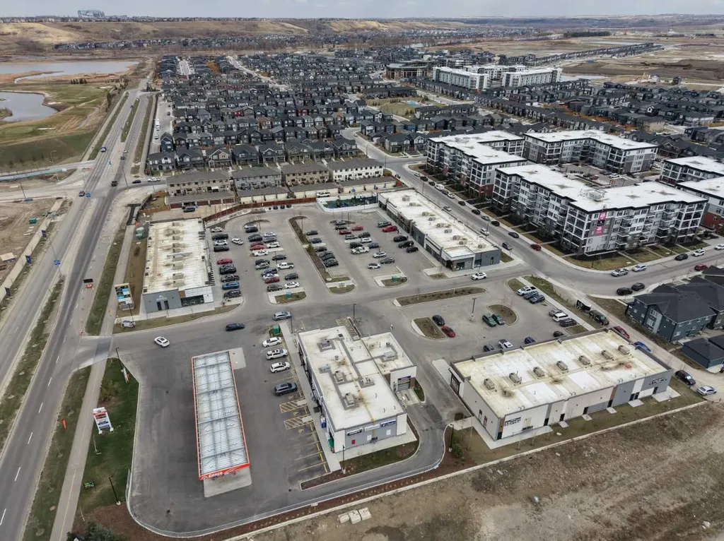 55 Wolf Hollow Crescent SE Calgary AB T2X 5K9