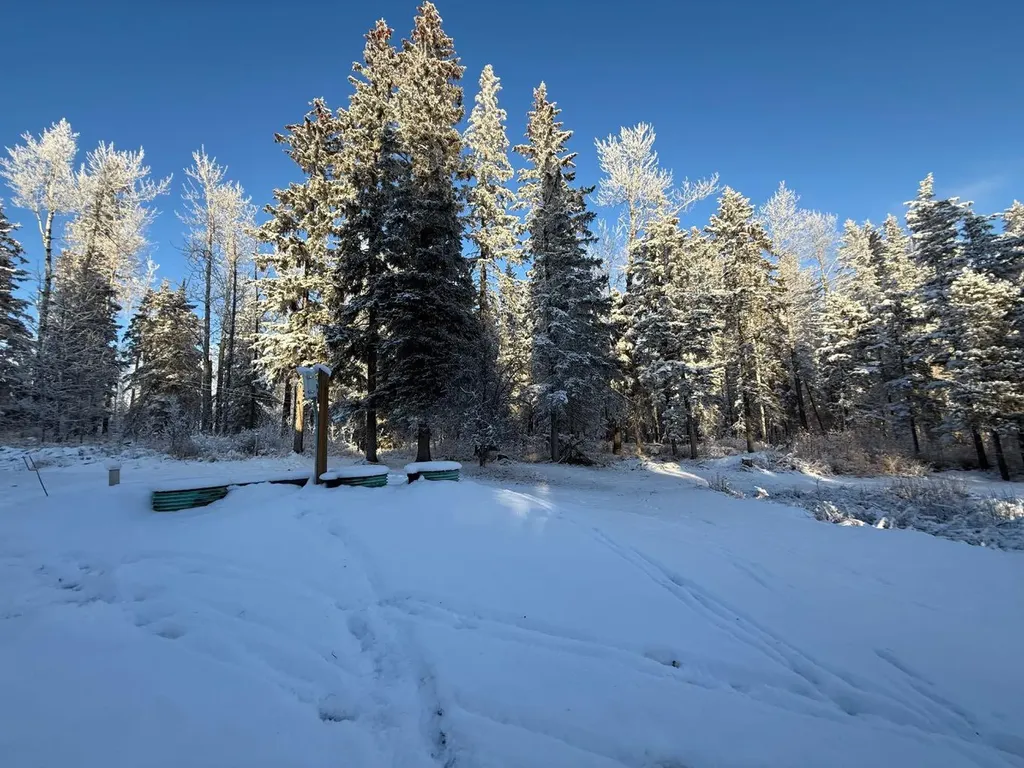 Lot 1, 590059 Range Road 110 Rural Woodlands County AB T7P 1E8