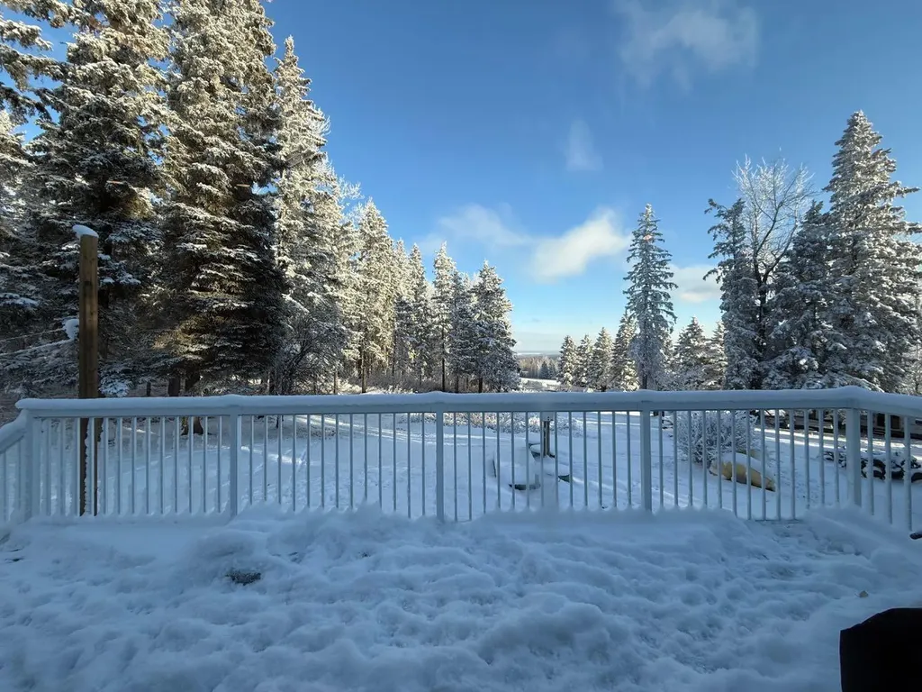 Lot 1, 590059 Range Road 110 Rural Woodlands County AB T7P 1E8