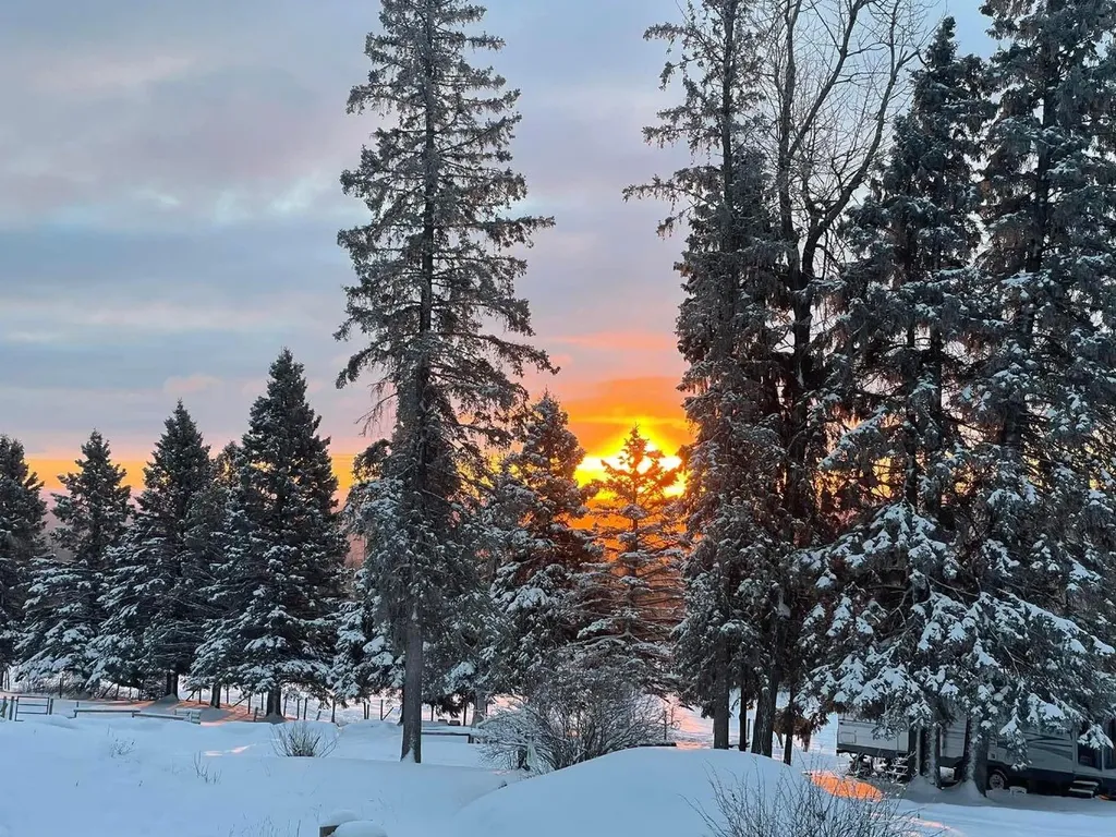 Lot 1, 590059 Range Road 110 Rural Woodlands County AB T7P 1E8
