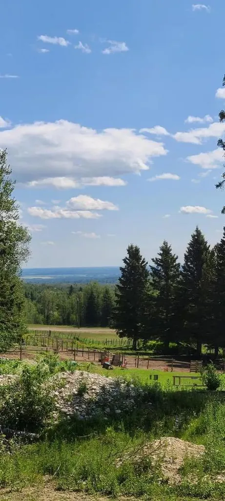 Lot 1, 590059 Range Road 110 Rural Woodlands County AB T7P 1E8