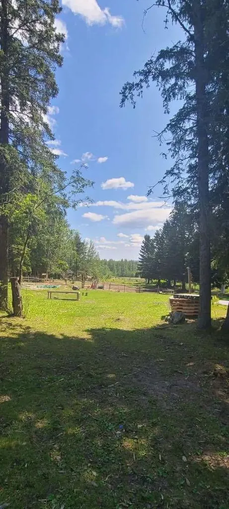 Lot 1, 590059 Range Road 110 Rural Woodlands County AB T7P 1E8