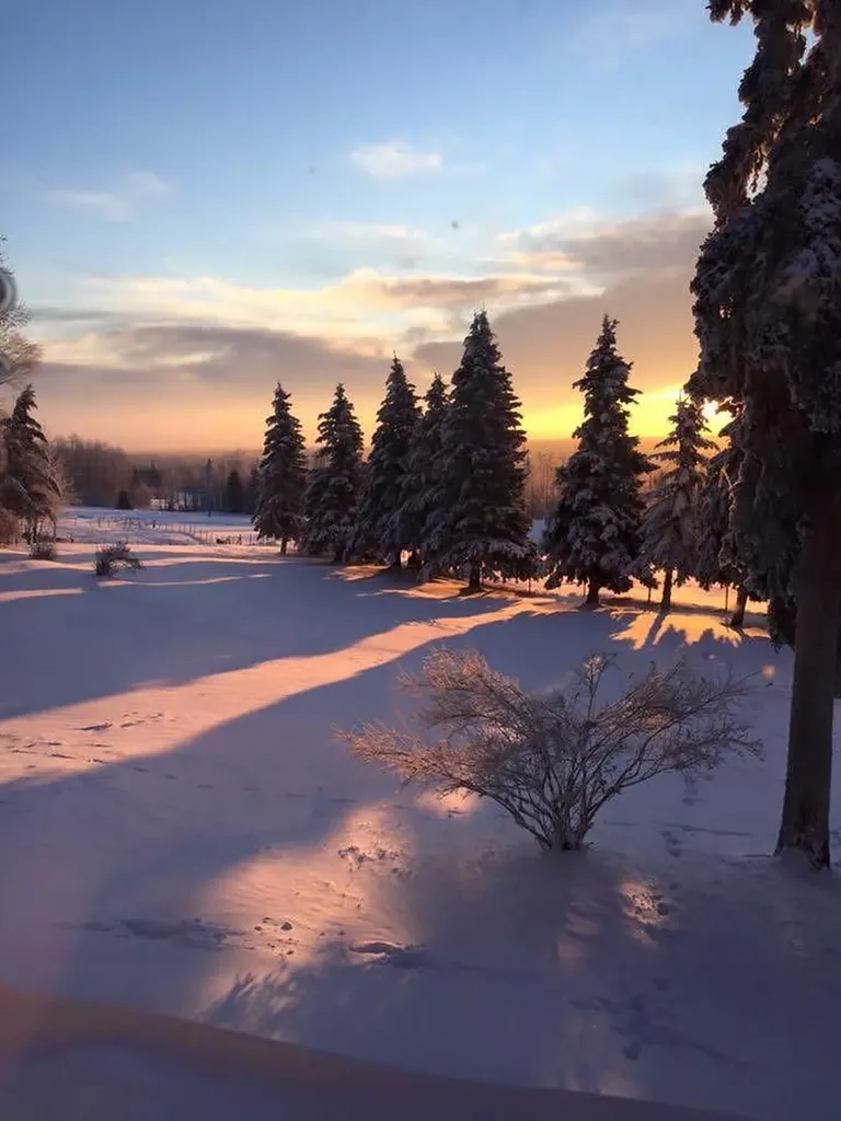 Lot 1, 590059 Range Road 110 Rural Woodlands County AB T7P 1E8