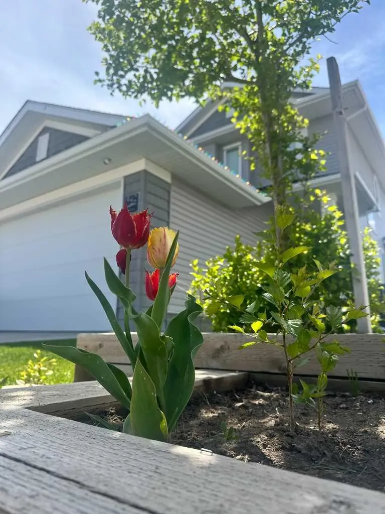 942 Miners Boulevard W Lethbridge AB T1J 5S6