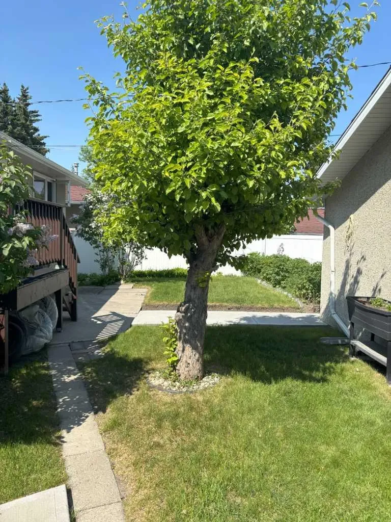 4928 40 Avenue NW Calgary AB T3A 0X2