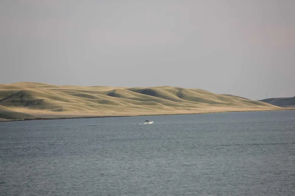 26 White Pelican Way Rural Vulcan County AB T0L 2B0