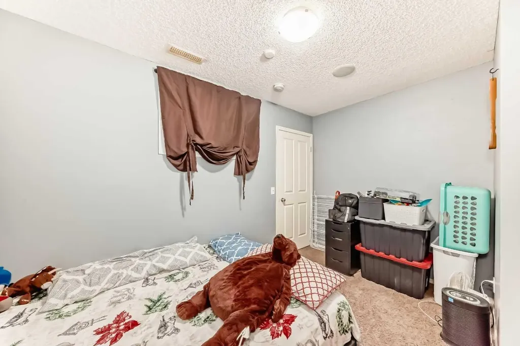 244 Saddlebrook Point NE Calgary AB T3J0G5