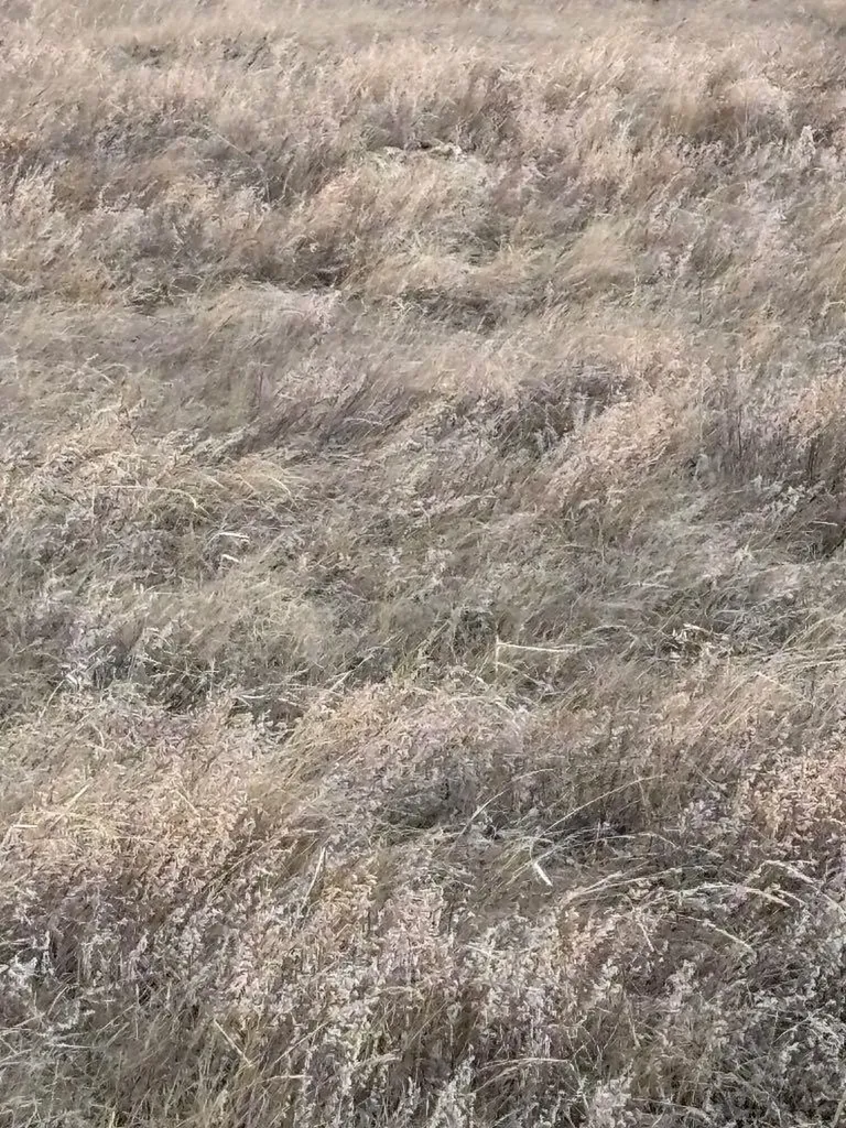 Veteran AB, along Highway 12