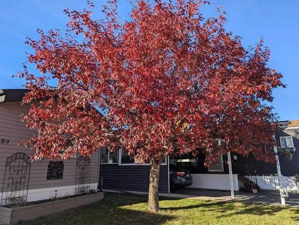 99 Arbour Lake Road NW Calgary AB T3G 4E4